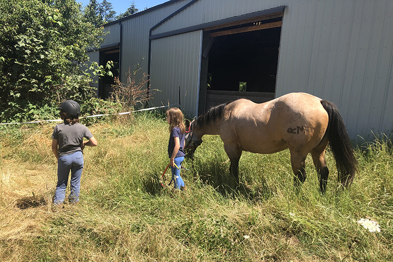 Herrera kids at horseback riding lessons, summer 2020